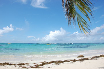 La mer des caraïbes