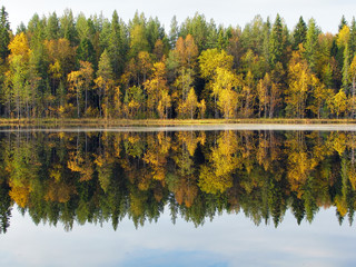 Beautiful forest lake in the autumn day