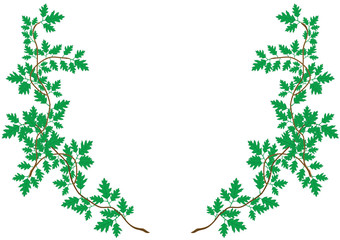 Fototapeta premium Vector illustration a pattern from green sprouts with leaves.