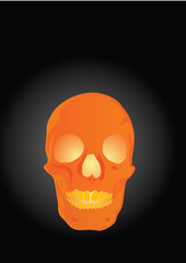 Vector illustration a human skull by a holiday helloween