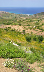 Fototapeta premium littoral algerien...kabylie