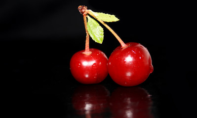 cherry