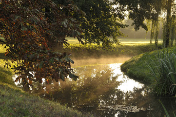 Frühnebel