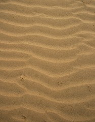 Arena, playa, texturas