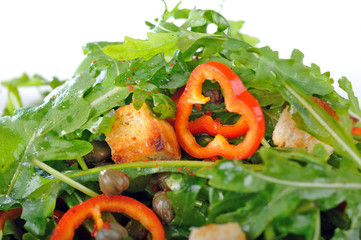 Sommersalat mit Rucola