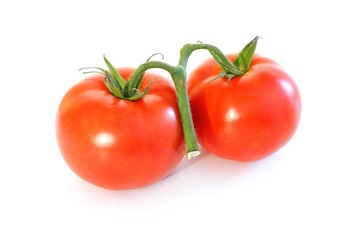 tomatoes