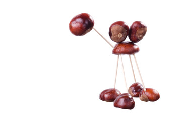 Chestnuts Camel Toy isolated on white