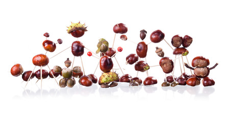 Chestnuts Toys isolated on white