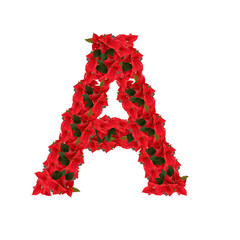 Letter from the red flowers