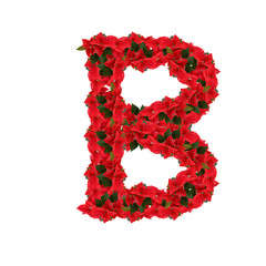 Letter from the red flowers