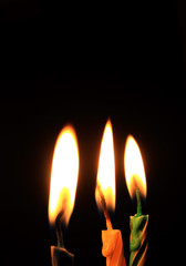 Fototapeta premium Candles