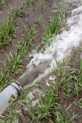 pipeline in rural areas