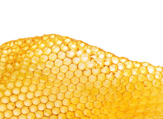 bee honeycomb - 25904802