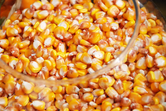 corn crop in a glass