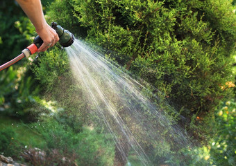 Watering garden