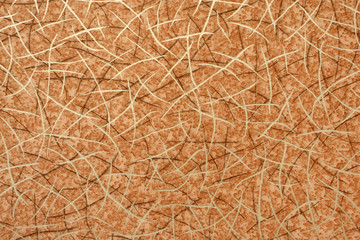 Detailed image of a linoleum