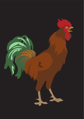 cock