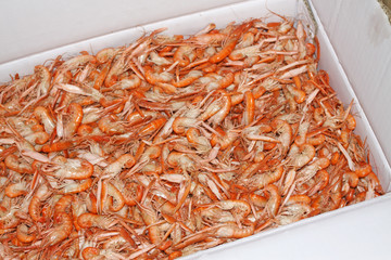 aquatic products - dried shrimps