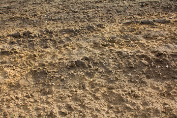 Agriculture