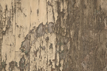 legno antico