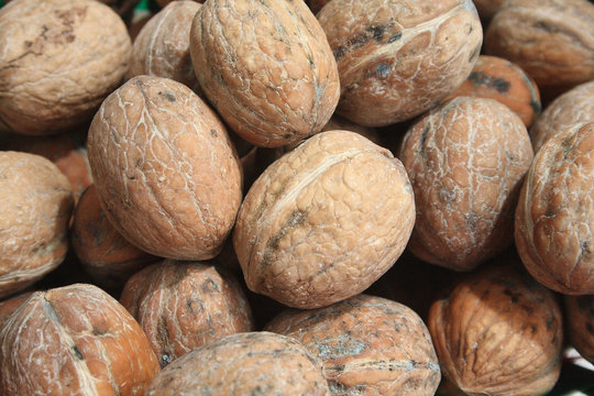 Noci fresche di Sorrento