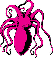 octopus vector