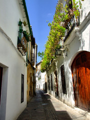 Cordoba street