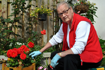 Fototapeta na wymiar elderly lady gardening