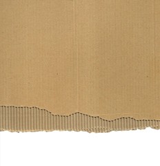 torn cardboard