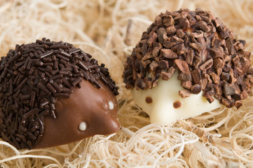 Nougat-Igel