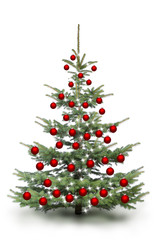 Weihnachtsbaum mit roten Kugeln