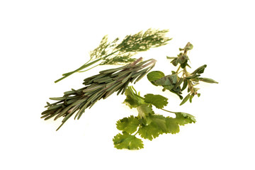 Dill Rosemary Oragano and Coriander