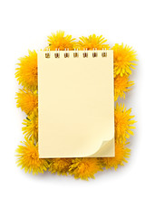Notepad and flowers isolated on the white background