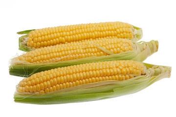 Corn cob against white background