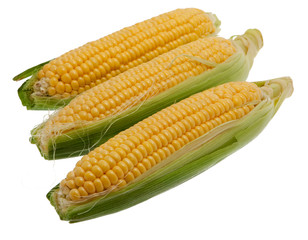 Corn cob against white background