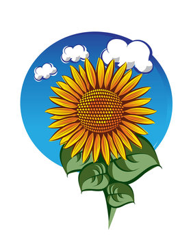 sunflower template