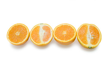 Orange group isolated on the white background