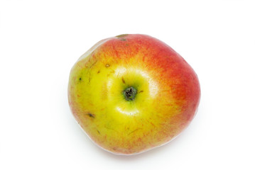Apple isolated on the white background