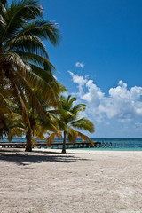 Karibischer Strand III