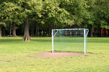 goal and tree on a meadow in park