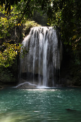 Fototapeta na wymiar Jungle in Thailand - Erawan National Park