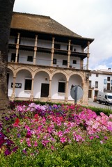 Obraz premium Fiori a Ronda