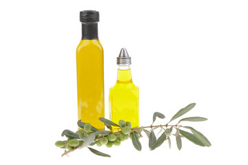 olives on a branch with oil