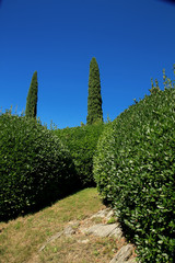 Bellagio, Villa Melzi's garden IV