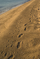 Orme sulla spiaggia 2
