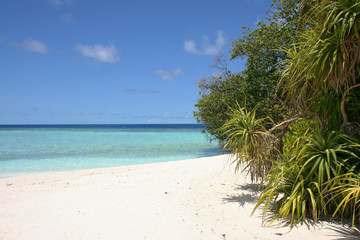 Maldive beach
