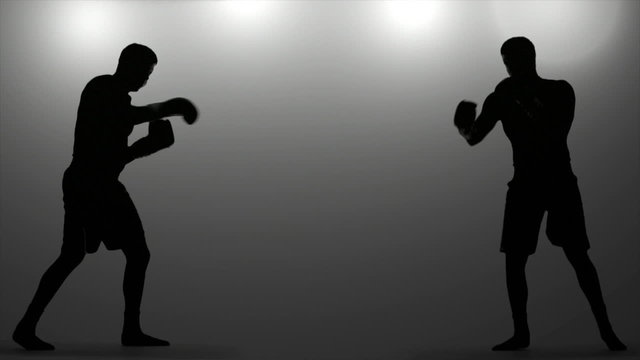 Boxers Showdown