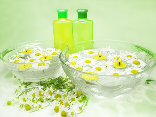 Fototapeta na wymiar spa bowl with daisy flowers and shampoo gel