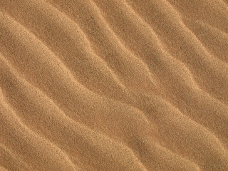 Fototapeta na wymiar sand pattern in desert