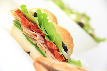 Fresh delicious sandwich